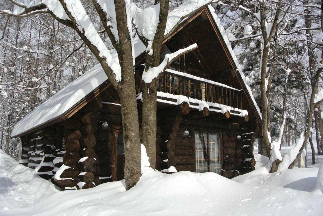 Апарт отель White Tree Log House Madarao Tangram Shinano  Экстерьер фото